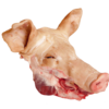 Quality Frozen Pork Head